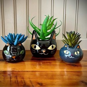 🐈‍⬛ Little Black Cat Succulent Set Halloween Tabletop Decor Cat Lover